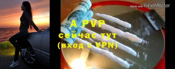 спайс Няндома