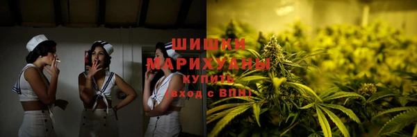спайс Няндома