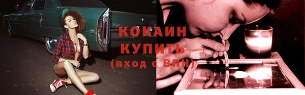 спайс Няндома