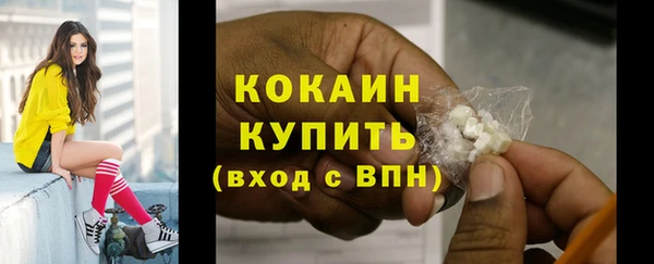 спайс Няндома