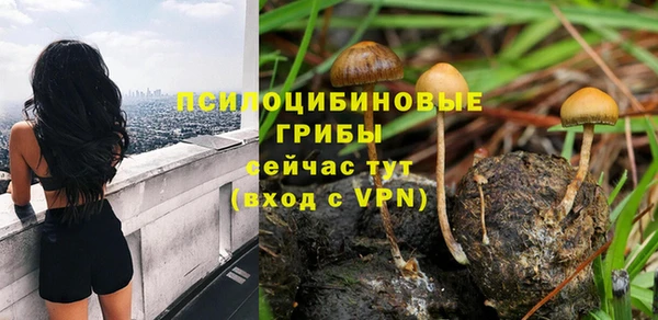 эйфоретик Нязепетровск