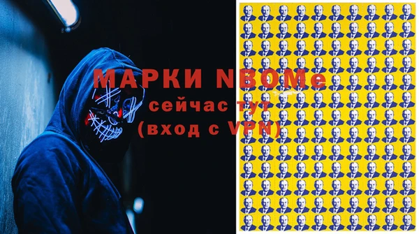 крисы Новокубанск