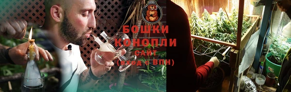 мдпв Гатчина