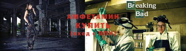 ECSTASY Новодвинск