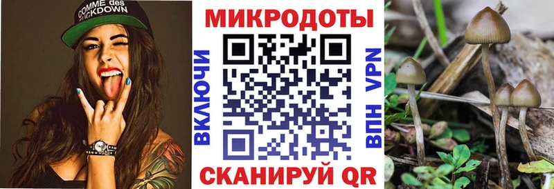 сколько стоит  Шлиссельбург  Псилоцибиновые грибы ЛСД 